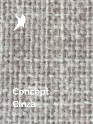 Concept Cinza