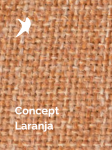 Concept Laranja