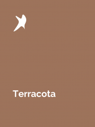 Terracota